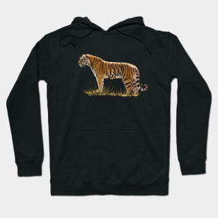 Tiger Hoodie